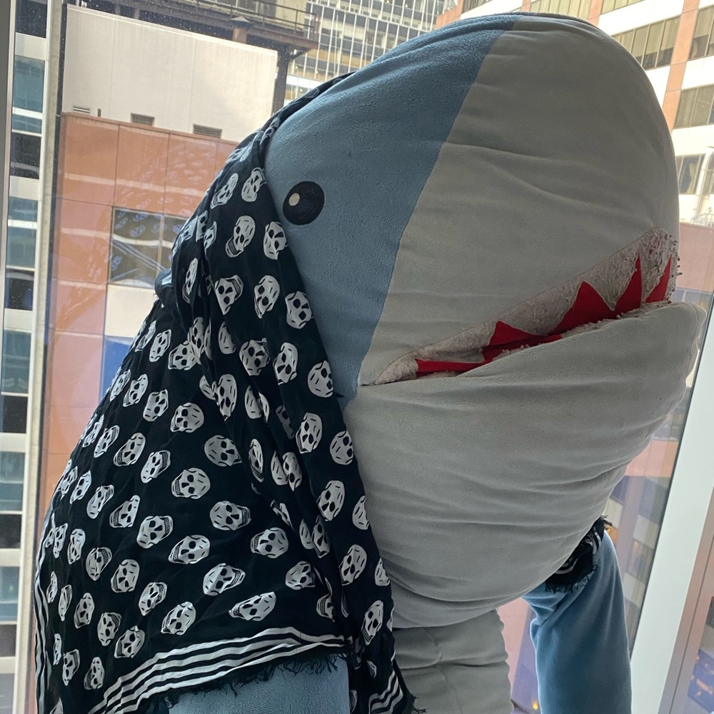authentic McQueen skull scarf